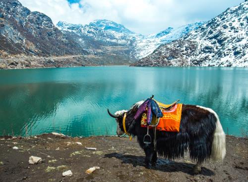 Gangtok Tour Package with Nathula Pass